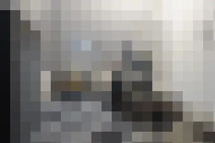 Piushof 17 Oudenbosch thumbnail 25