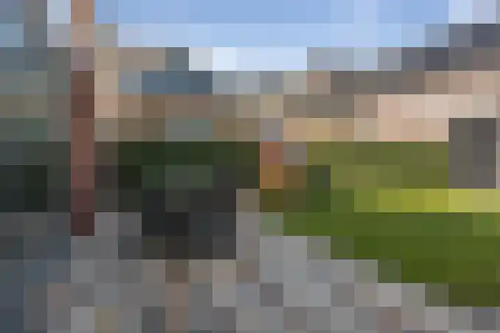 Piushof 17 Oudenbosch thumbnail 26