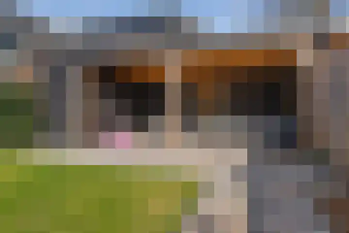 Piushof 17 Oudenbosch thumbnail 27