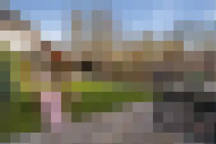 Piushof 17 Oudenbosch thumbnail 28