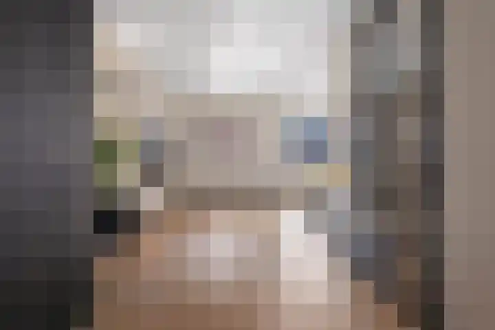 Piushof 17 Oudenbosch thumbnail 8