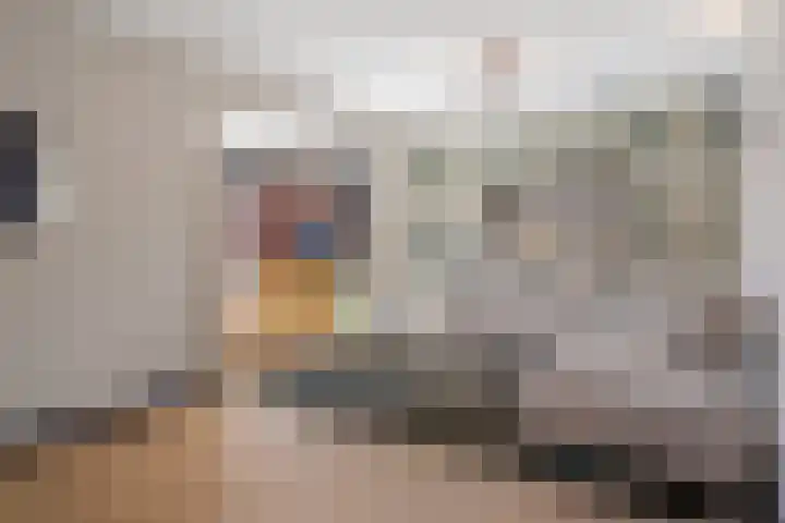 Piushof 17 Oudenbosch thumbnail 9