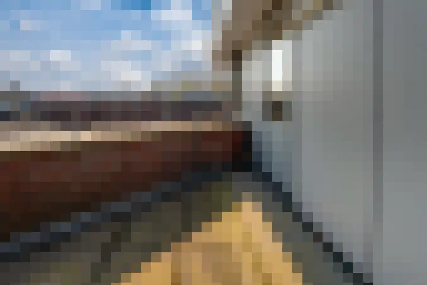 Piushof 33 Didam thumbnail 18