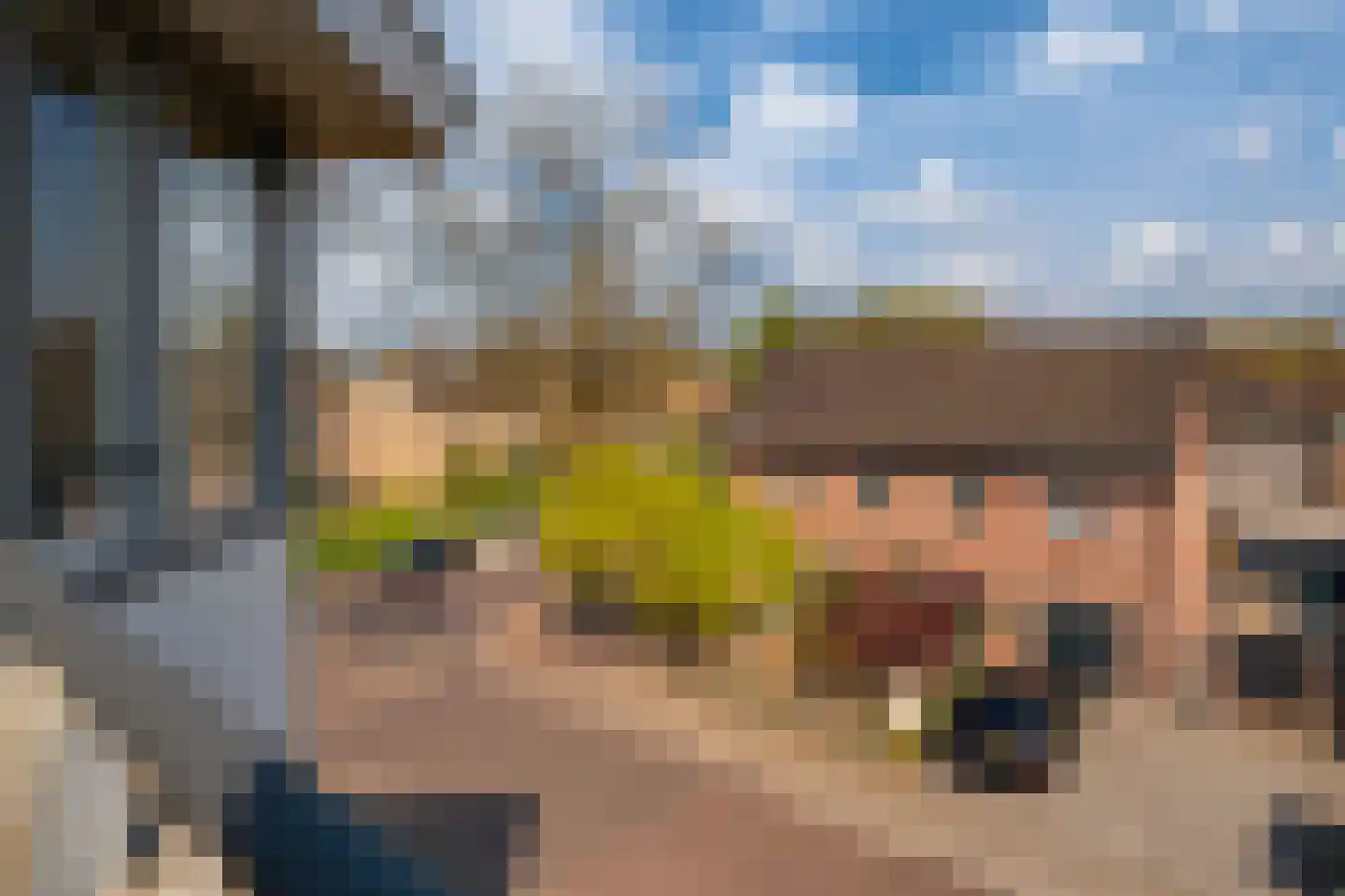 Piushof 33 Didam thumbnail 19