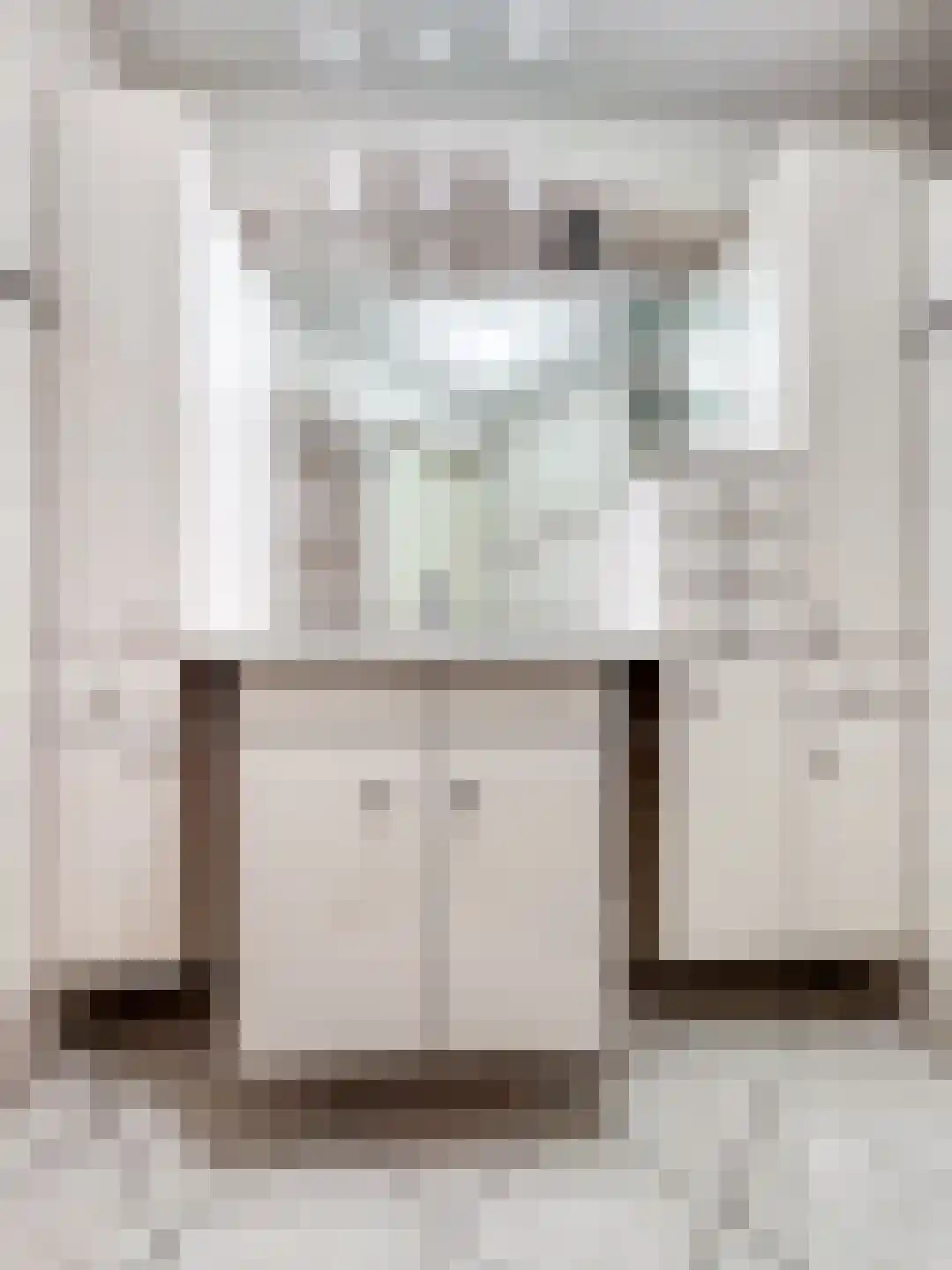 Piushof 33 Didam thumbnail 20