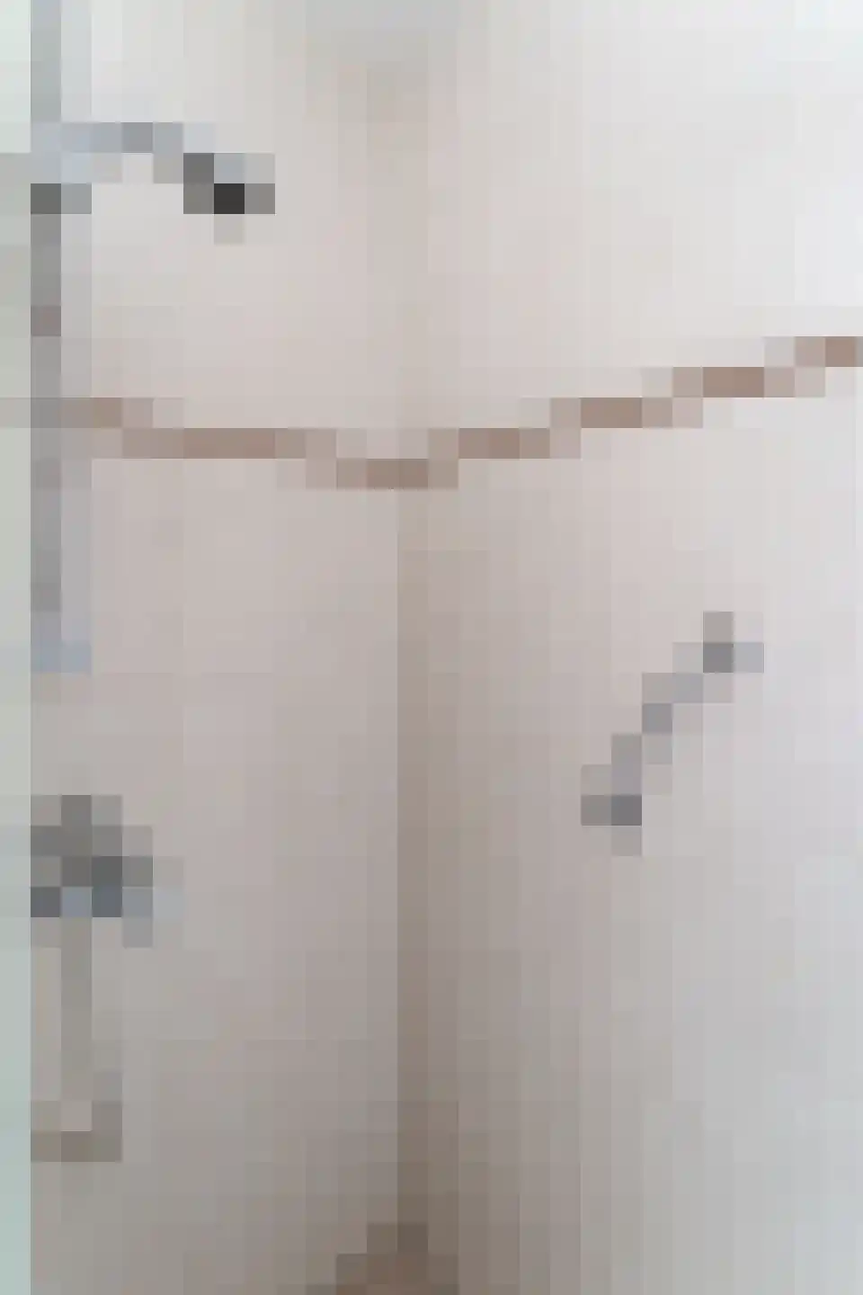 Piushof 33 Didam thumbnail 21
