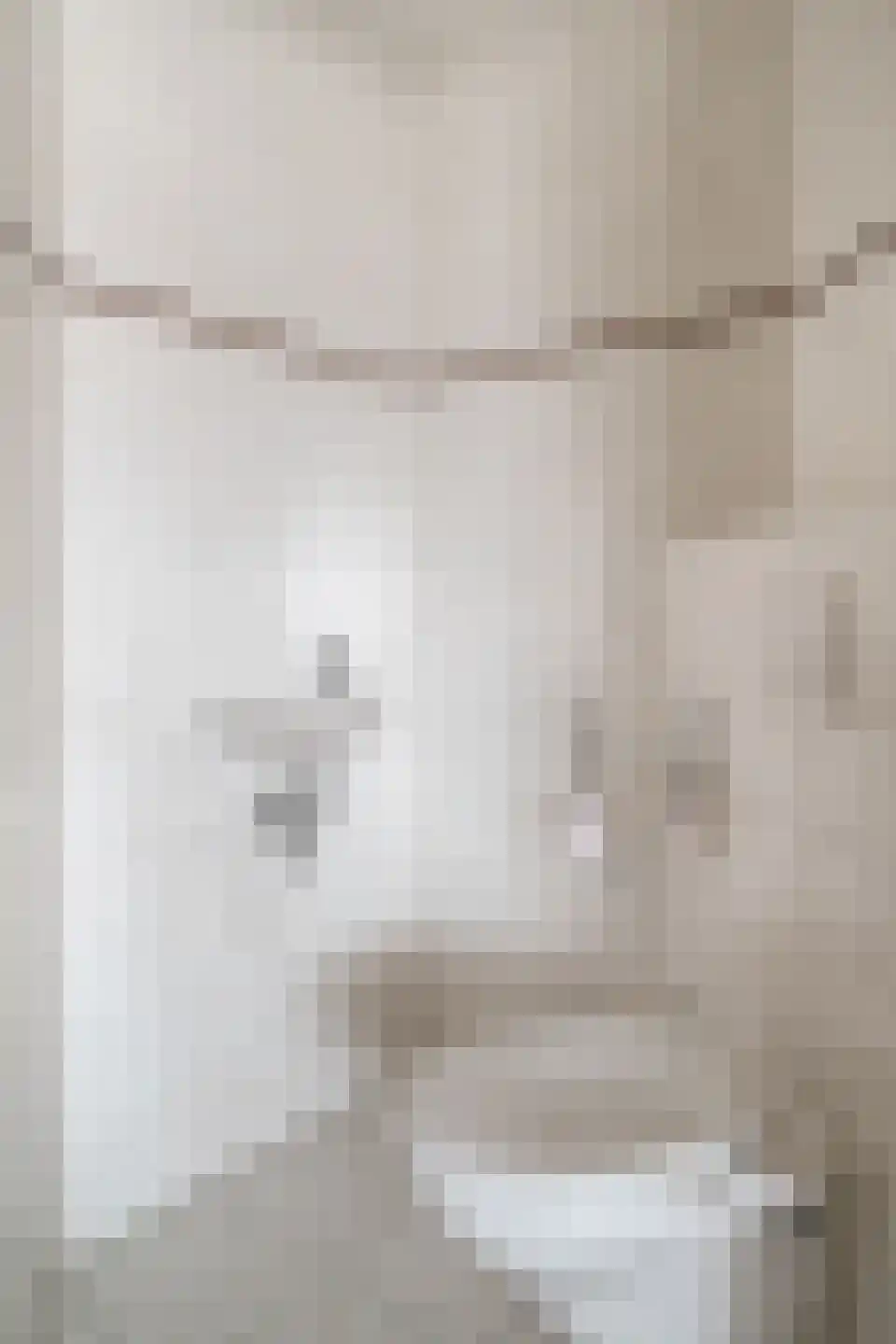 Piushof 33 Didam thumbnail 24