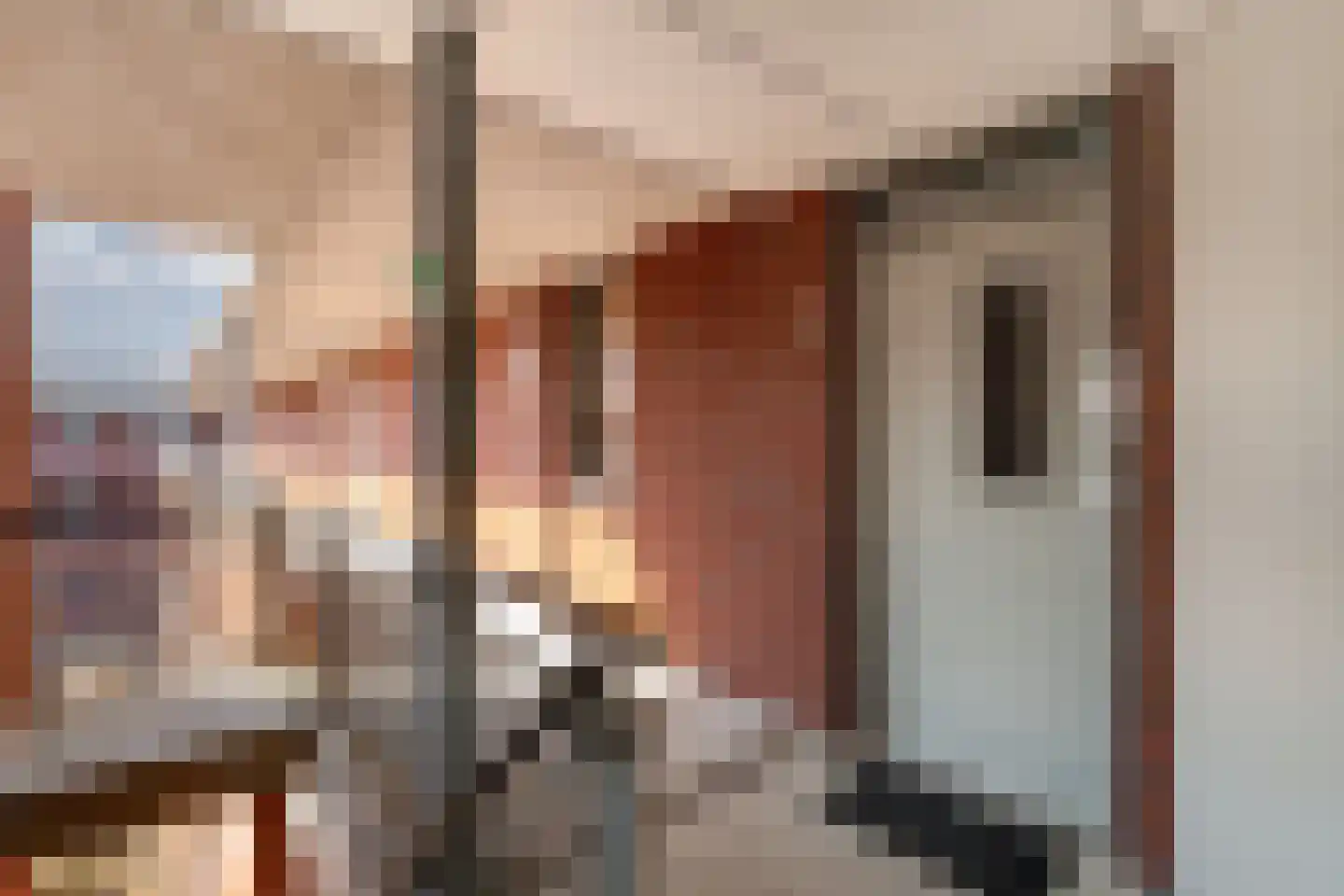 Piushof 33 Didam thumbnail 25