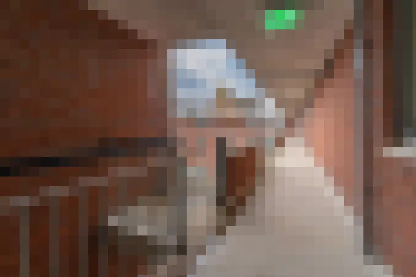 Piushof 33 Didam thumbnail 26