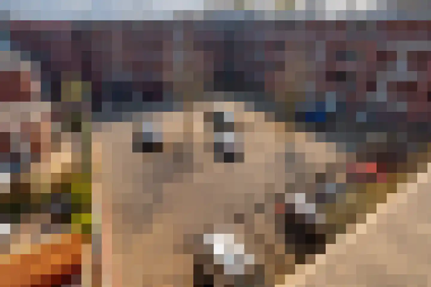 Piushof 33 Didam thumbnail 27