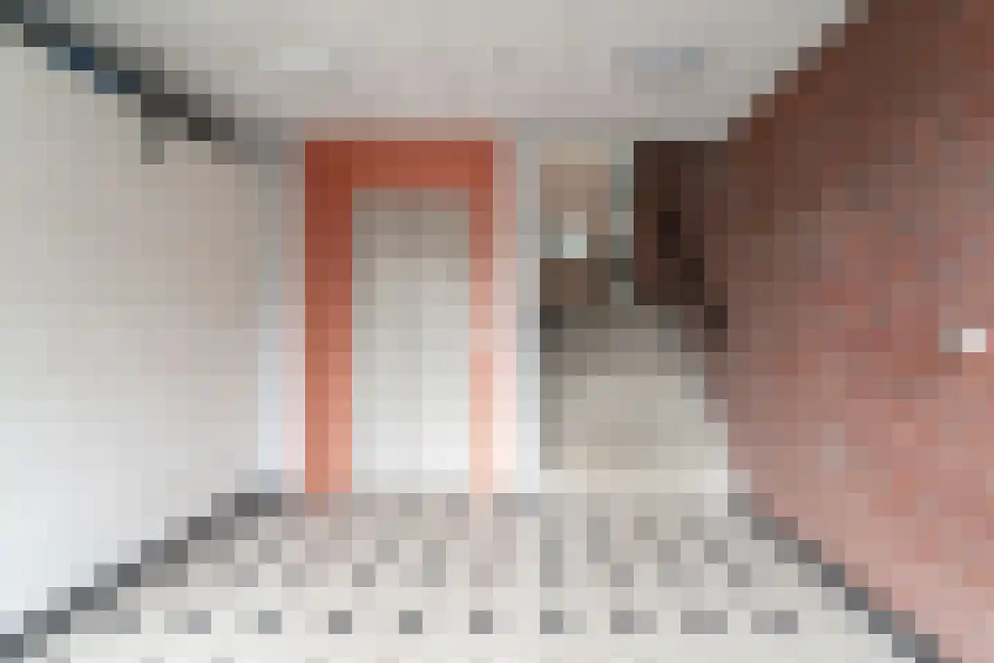 Piushof 33 Didam thumbnail 29