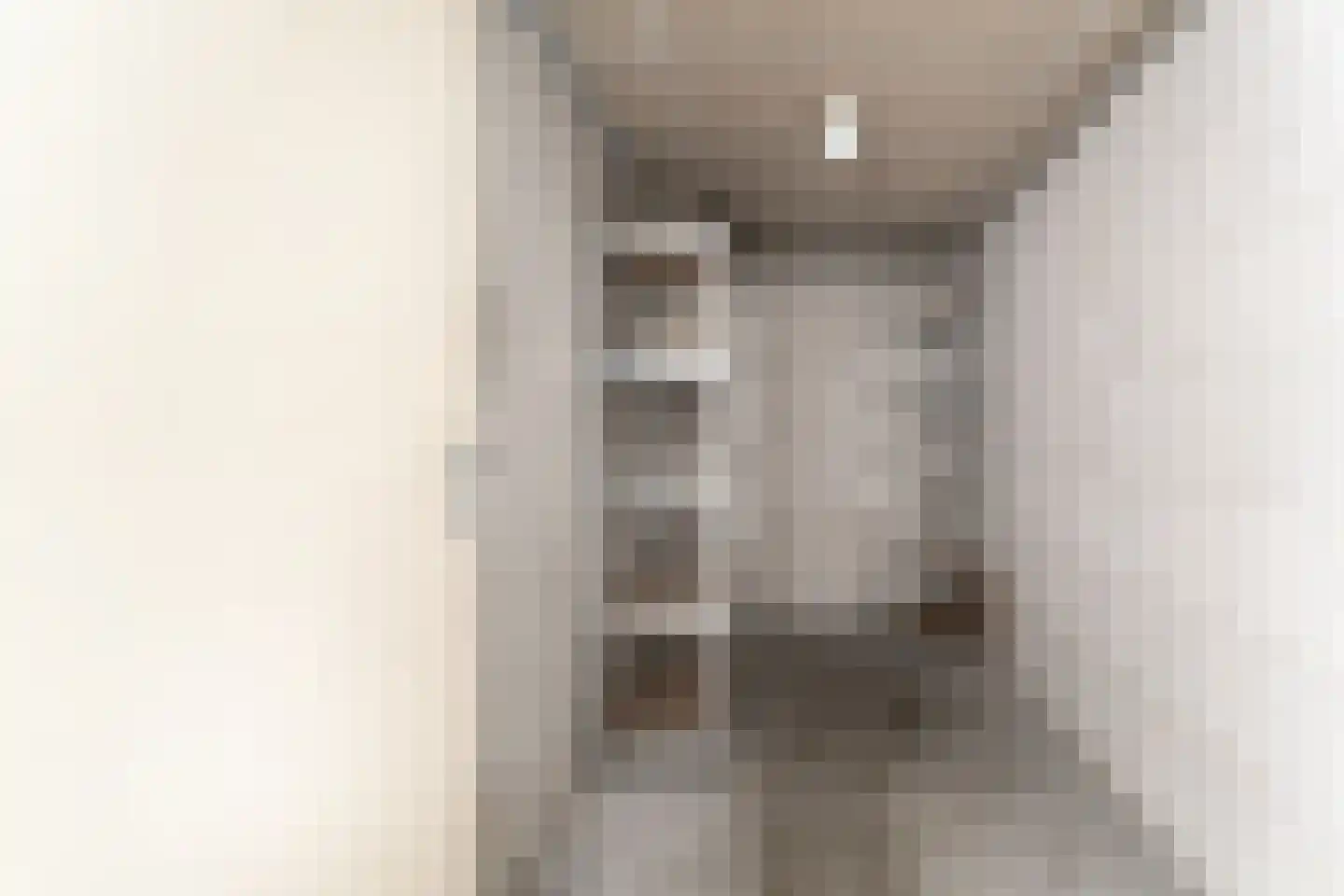 Piushof 33 Didam thumbnail 31