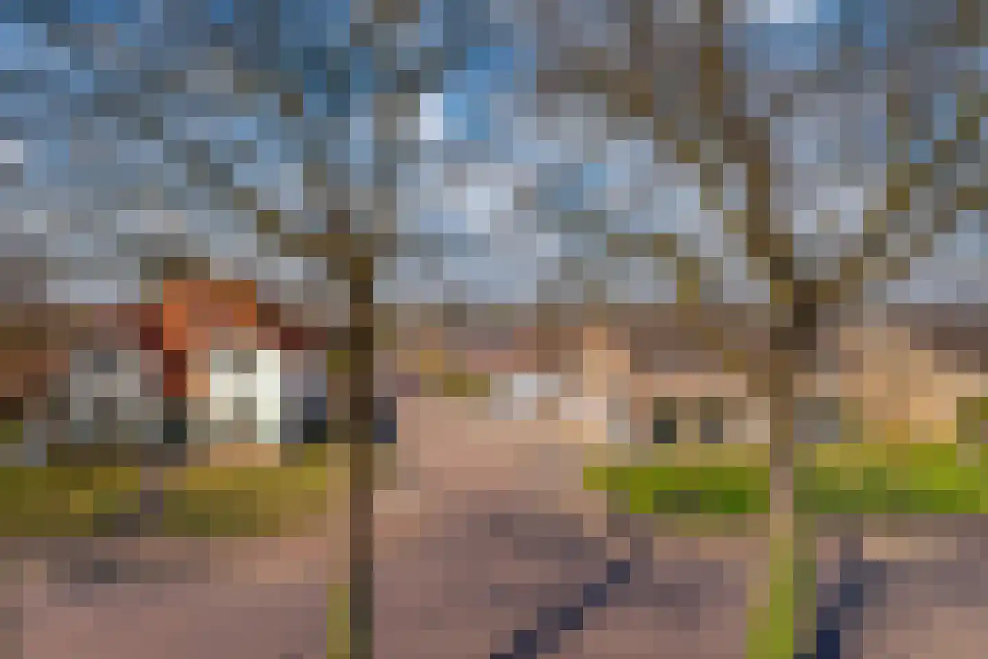 Piushof 33 Didam thumbnail 6