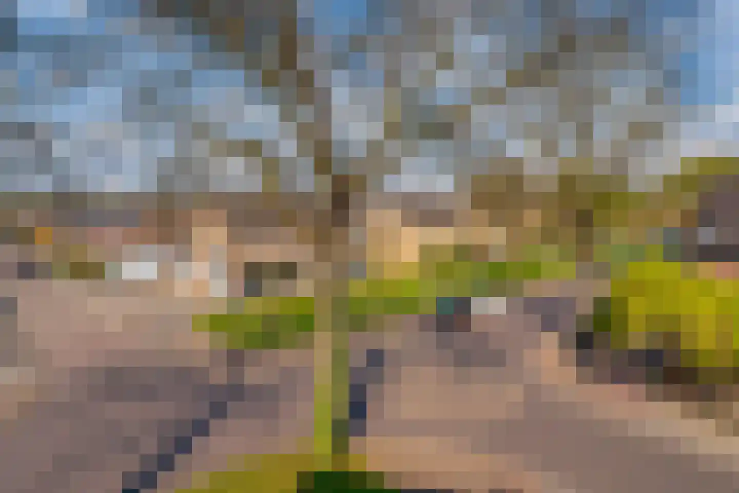 Piushof 33 Didam thumbnail 7
