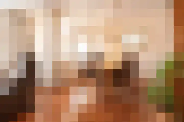 Piushof 6 Oudenbosch thumbnail 13
