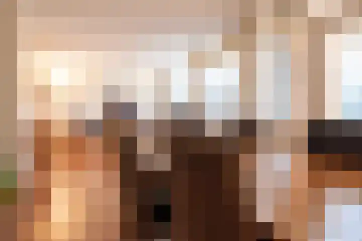 Piushof 6 Oudenbosch thumbnail 15