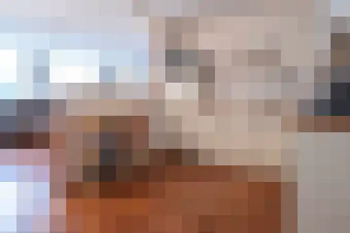 Piushof 6 Oudenbosch thumbnail 19