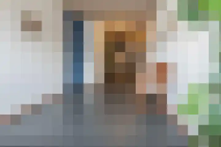 Piushof 6 Oudenbosch thumbnail 7