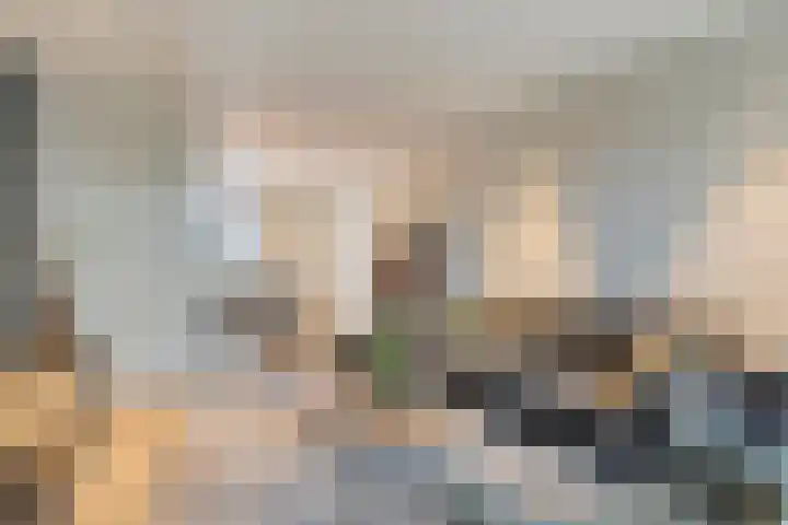Piushof 8 Panningen thumbnail 14