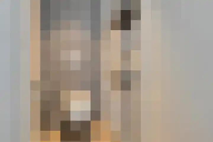 Piushof 8 Panningen thumbnail 32