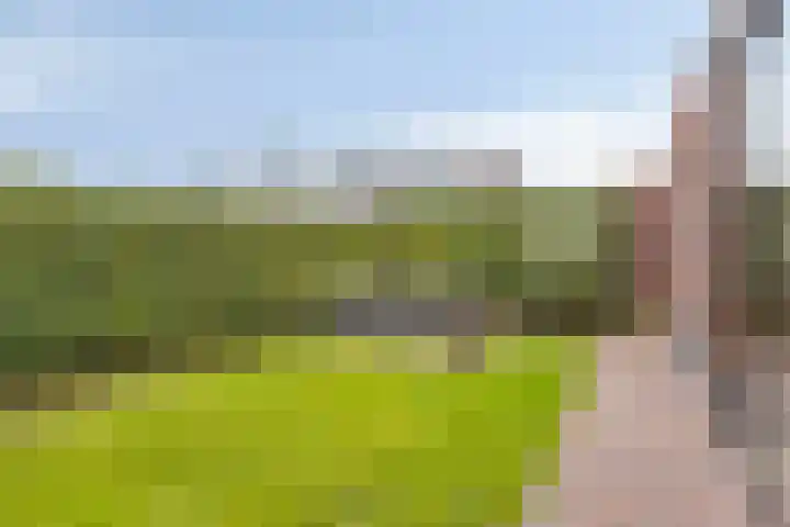 Piushof 8 Panningen thumbnail 35