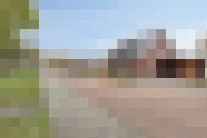 Piushof 8 Panningen thumbnail 41