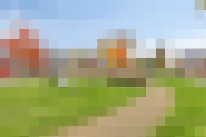 Piushof 8 Panningen thumbnail 42