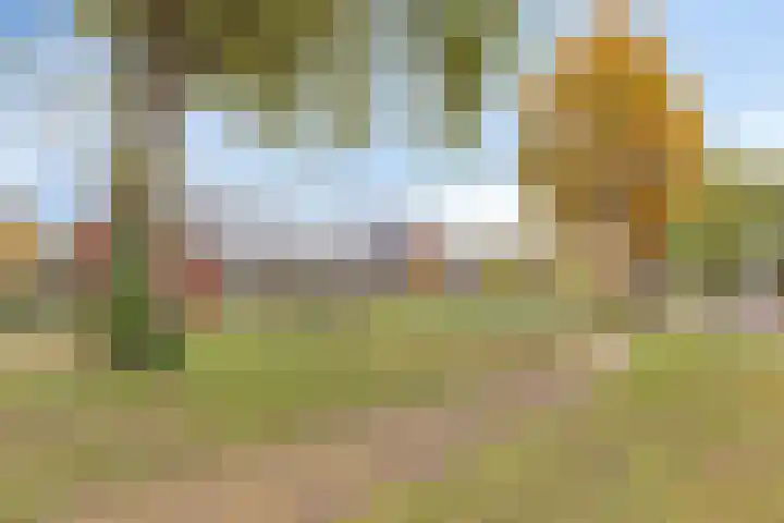 Piushof 8 Panningen thumbnail 43