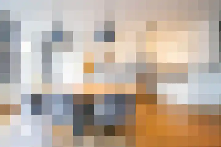 Piushof 9 Aarle-Rixtel thumbnail 13
