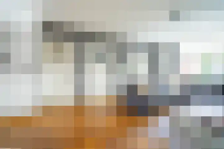 Piushof 9 Aarle-Rixtel thumbnail 17