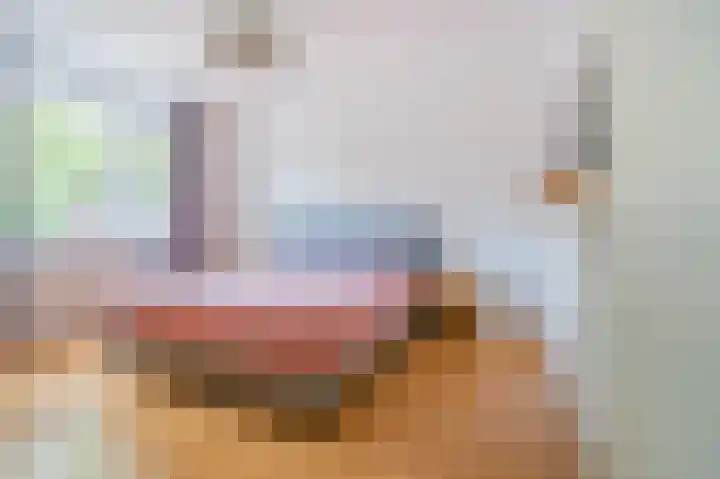 Piushof 9 Aarle-Rixtel thumbnail 20