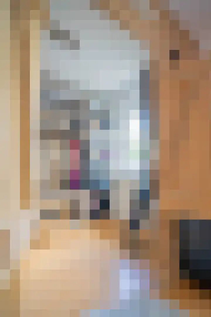Piushof 9 Aarle-Rixtel thumbnail 23