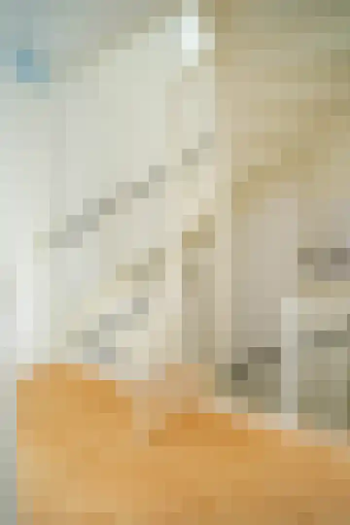 Piushof 9 Aarle-Rixtel thumbnail 27