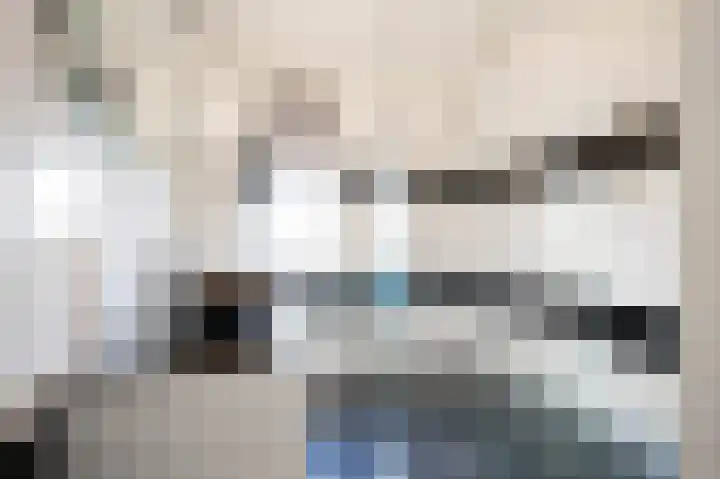 Piushof 9 Aarle-Rixtel thumbnail 28