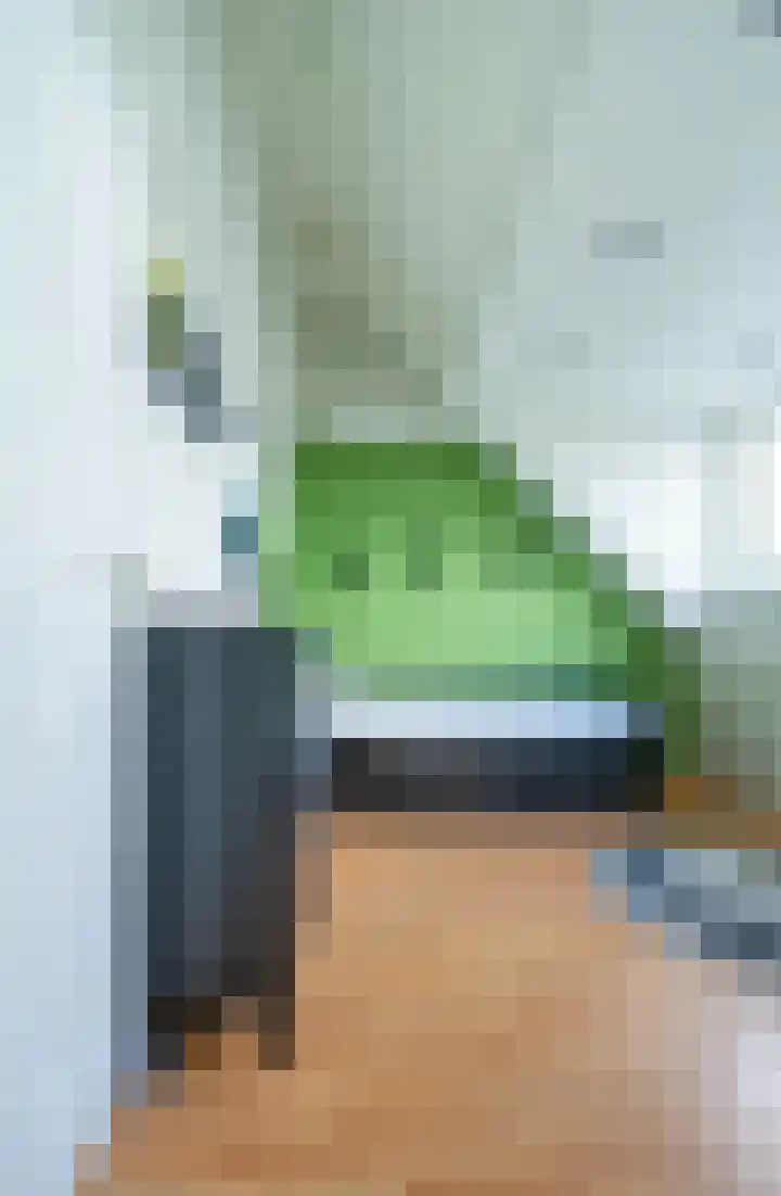 Piushof 9 Aarle-Rixtel thumbnail 33