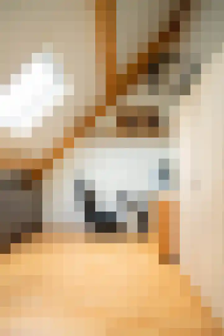 Piushof 9 Aarle-Rixtel thumbnail 37