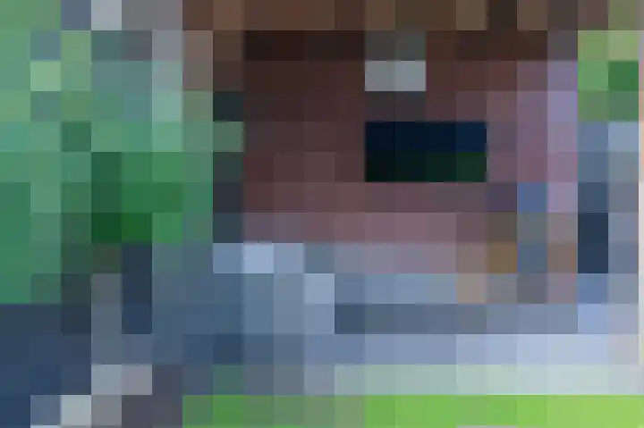 Piushof 9 Aarle-Rixtel thumbnail 43