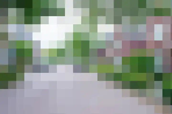 Piushof 9 Aarle-Rixtel thumbnail 45