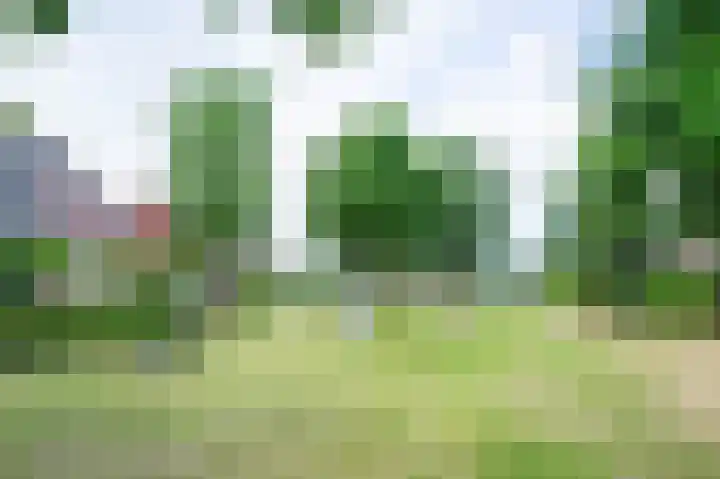 Piushof 9 Aarle-Rixtel thumbnail 46
