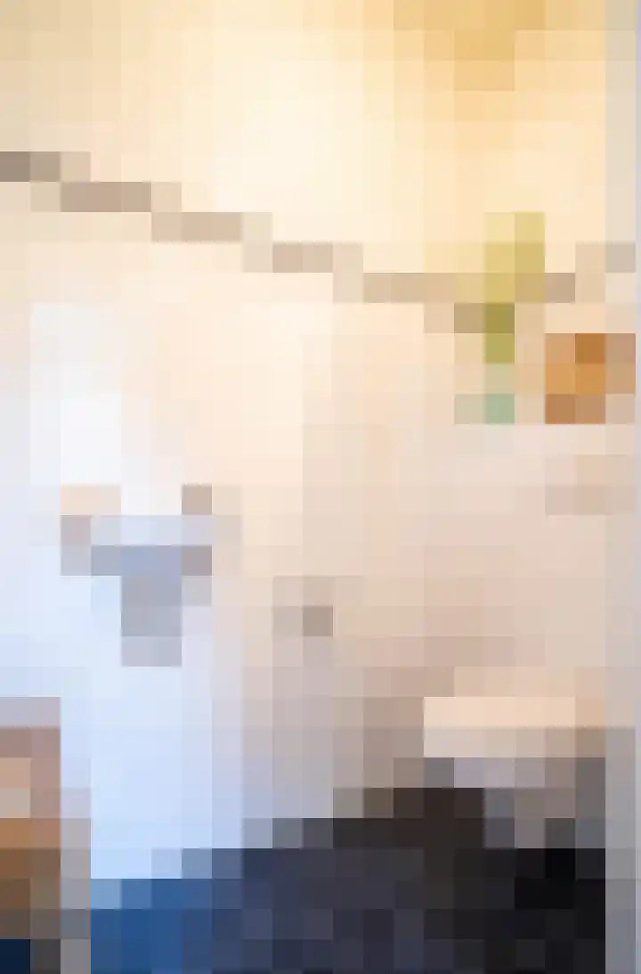 Piushof 9 Aarle-Rixtel thumbnail 5