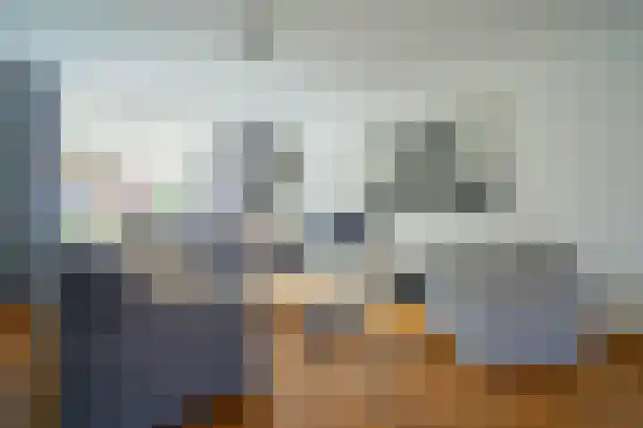 Piushof 9 Aarle-Rixtel thumbnail 8
