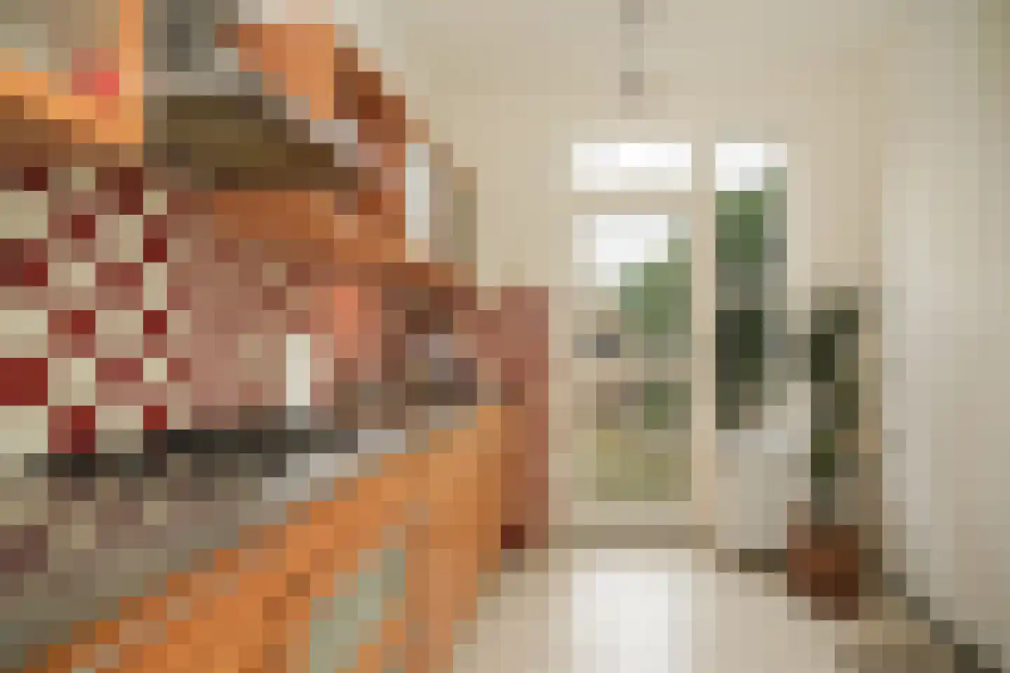 Piuslaan 103 Eindhoven thumbnail 19