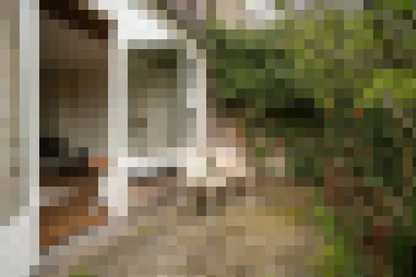 Piuslaan 103 Eindhoven thumbnail 24
