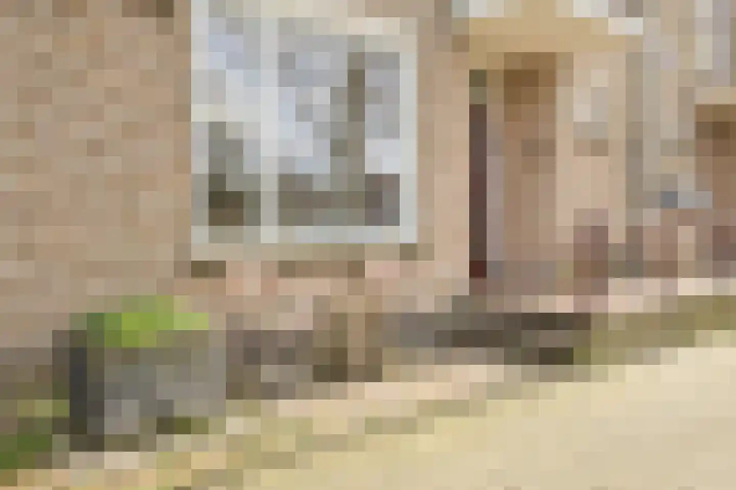 Piuslaan 103 Eindhoven thumbnail 5