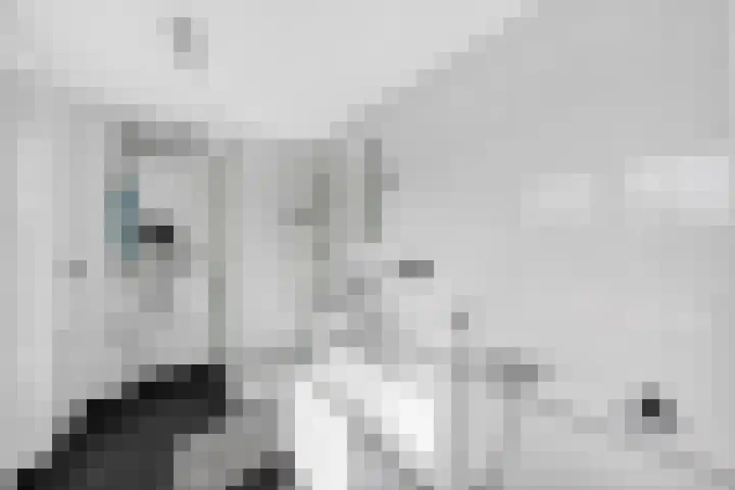 Piuslaan 105 A Eindhoven thumbnail 17