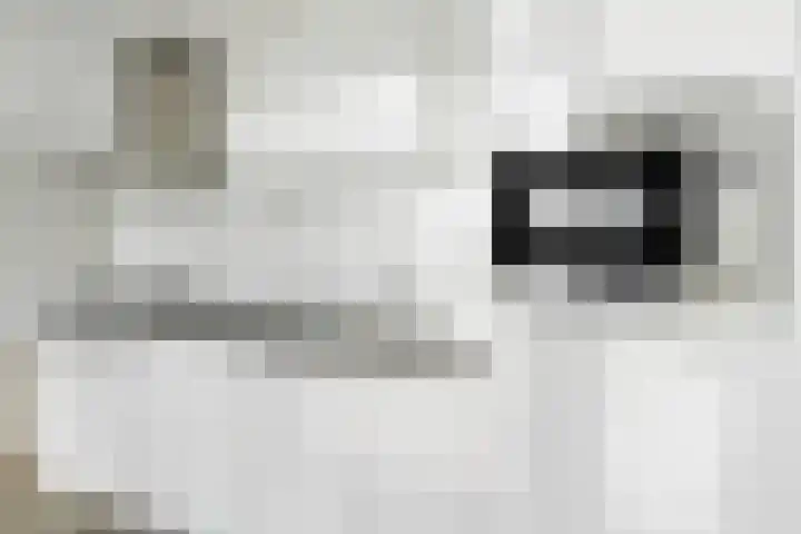 Piuslaan 105 Eindhoven thumbnail 12