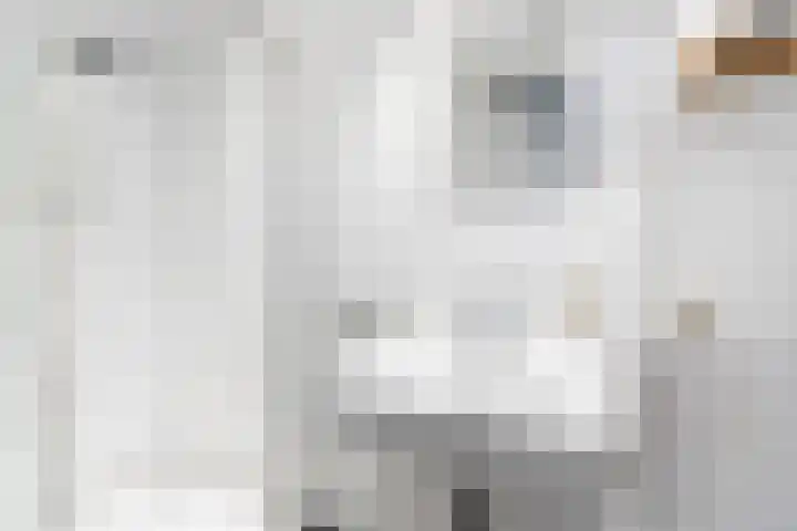 Piuslaan 105 Eindhoven thumbnail 27