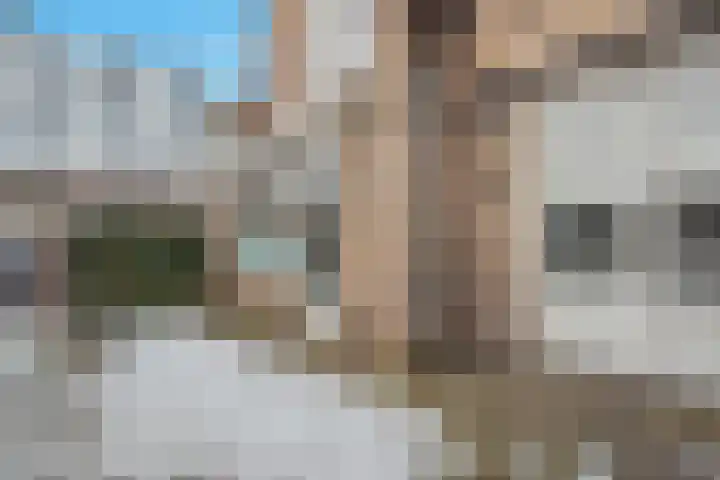 Piuslaan 105 Eindhoven thumbnail 4