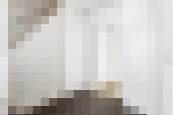 Piuslaan 105 Eindhoven thumbnail 6