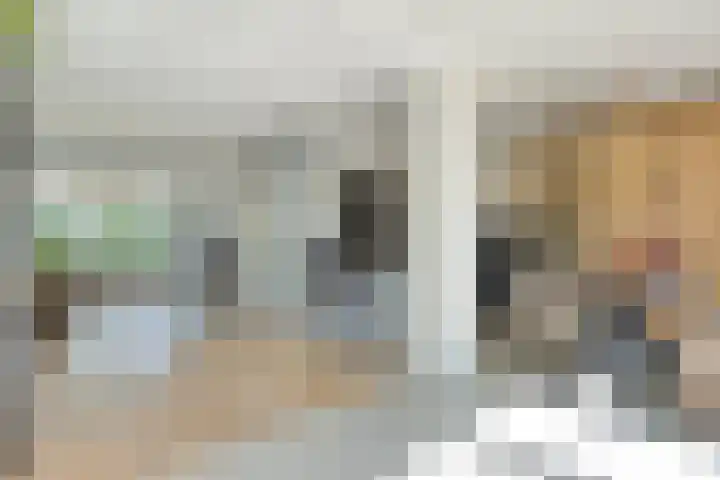 Piuslaan 117 Eindhoven thumbnail 12